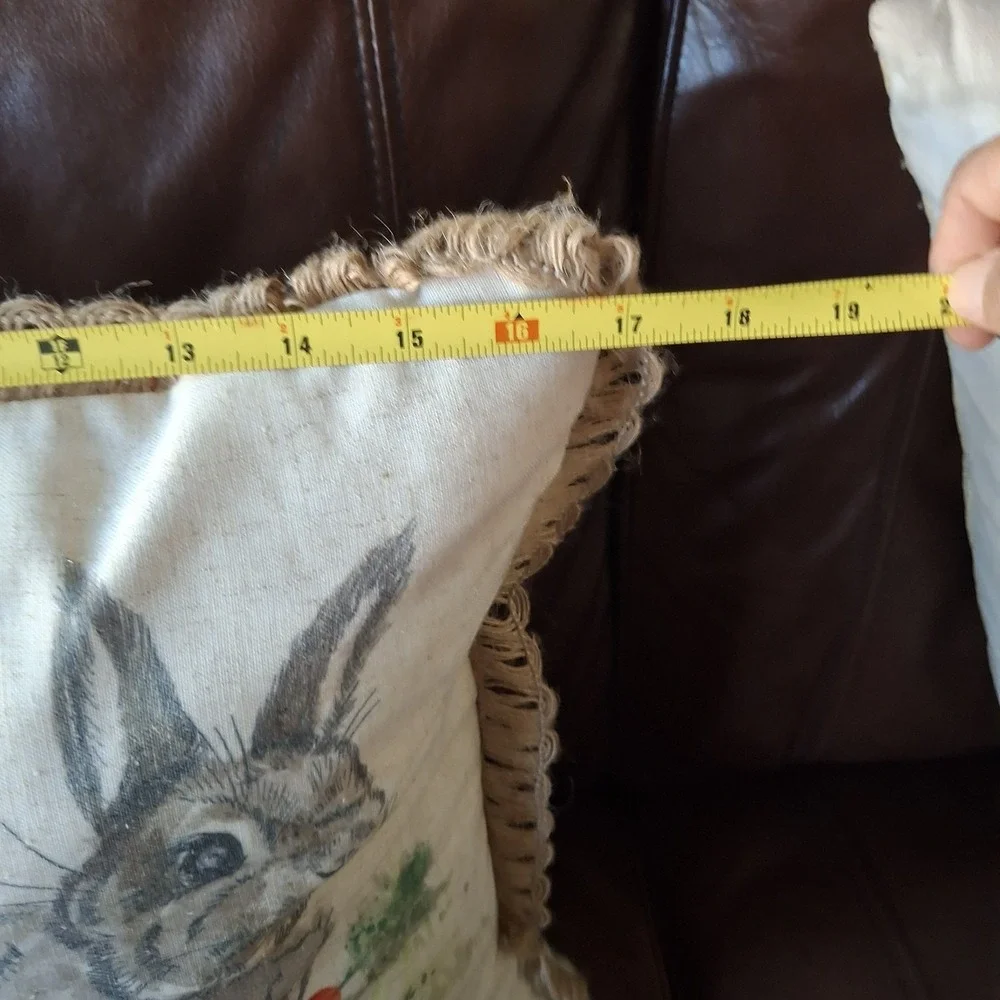 425 SOUTH LOS ANGELES Decor Pillow Easter Bunny Rabbit Carrots Zipper 17